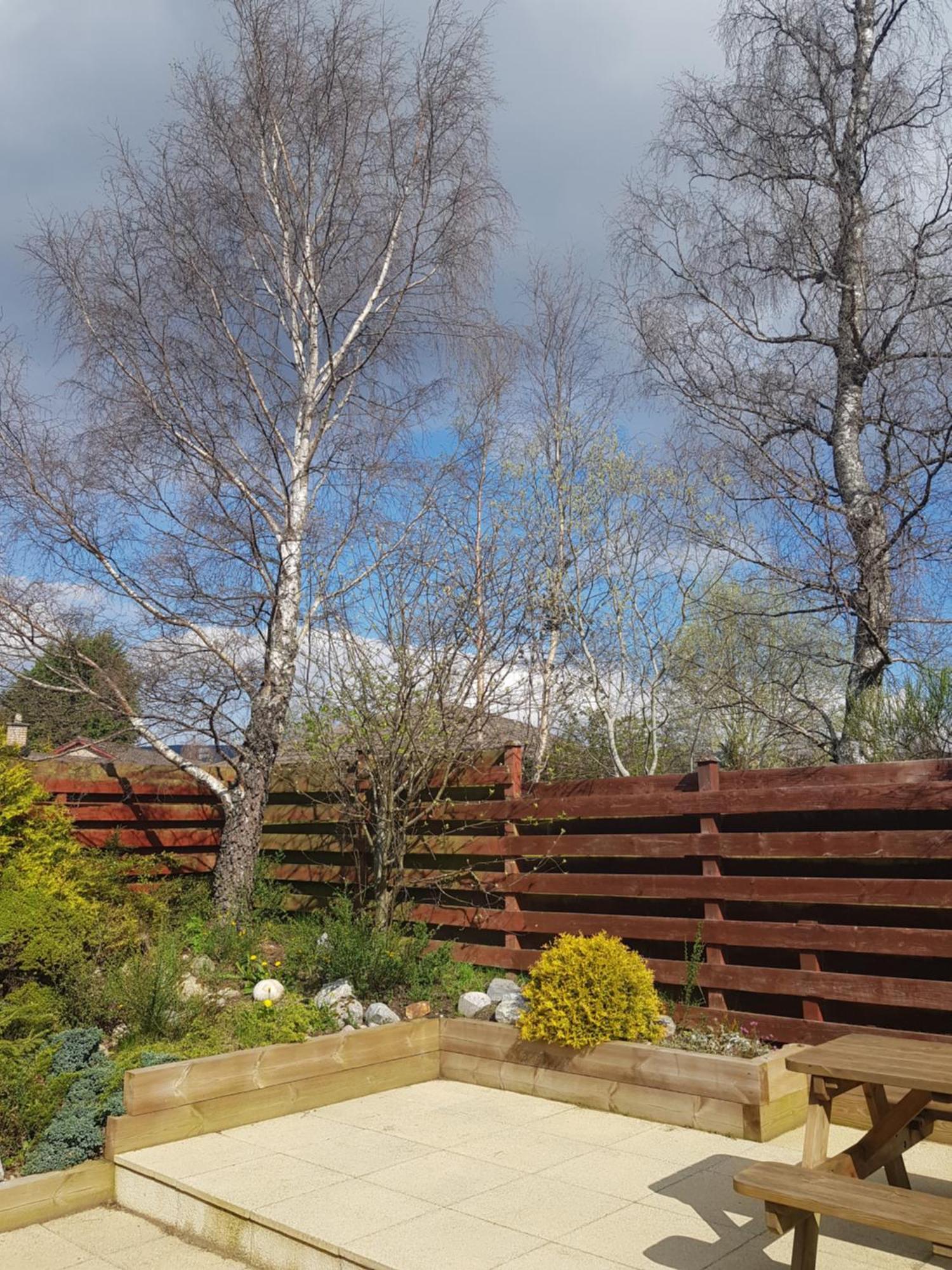Orange Squirrel Lodge Aviemore Bagian luar foto