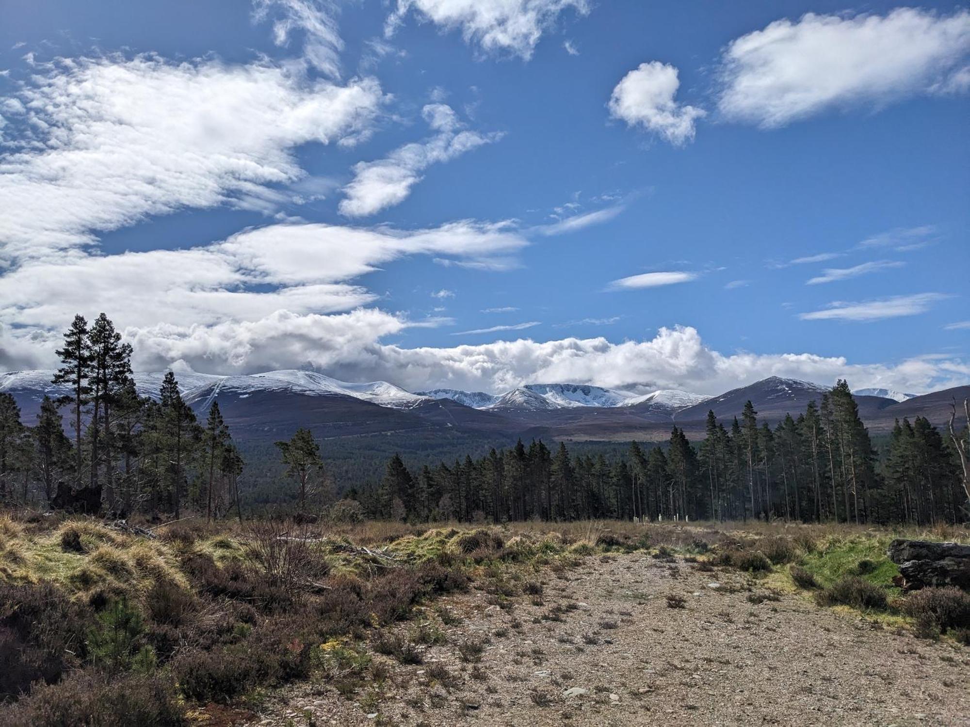 Orange Squirrel Lodge Aviemore Bagian luar foto